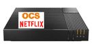 Livebox Up Fibre OCS+NetFlix
